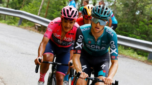 Tour de Pologne: Carapaz et les "r&eacute;cal&eacute;s" du Tour de France reprennent la route