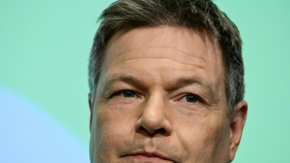 Habeck will bei Gr&uuml;nen vorerst keine F&uuml;hrungsposition mehr wahrnehmen