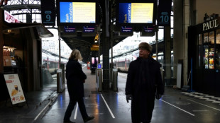 La gare de l'Est paralys&eacute;e apr&egrave;s un "incendie volontaire" sur des c&acirc;bles &eacute;lectriques