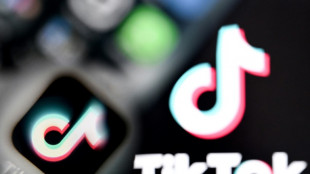 TikTok says to increase investment in Britain
