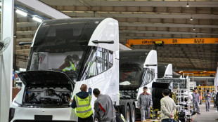 Chinese firms take on EV truck challenges
