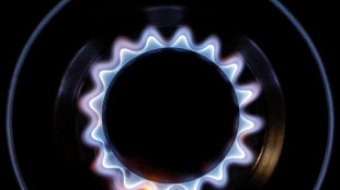 Il gas scende a 28,83, ai minimi da febbraio 2022