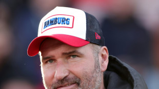 HSV r&uuml;ckt an Darmstadt heran - Sandhausen trifft zum 1:1