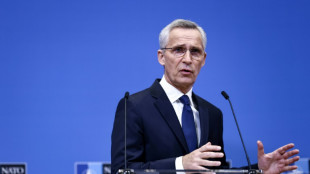 Nato will der Ukraine in Bukarest Winterhilfe zusagen