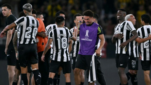 Botafogo perto de disputar sua 1&ordf; final de Libertadores