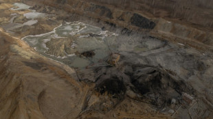 Kiew: Unterzeichnung des Rohstoffabkommens mit den USA binnen 24 Stunden