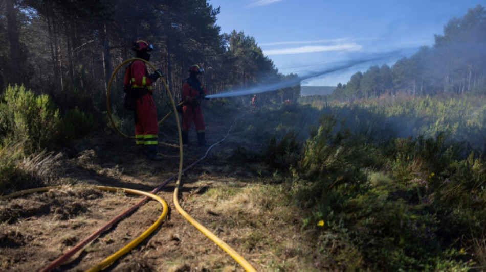 Tras un a&ntilde;o de estragos, Espa&ntilde;a se prepara contra los incendios forestales