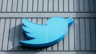 Bundesregierung kritisiert Twitter-Sperre f&uuml;r Journalisten