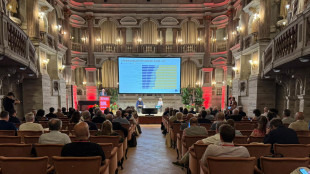 Le imprese coesive italiane salgono al 44% nel 2024