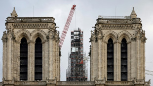 France's Macron says Notre Dame Cathedral to reopen on time