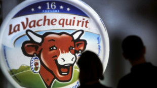 La Vache qui rit se rue &agrave; la conqu&ecirc;te du march&eacute; indien