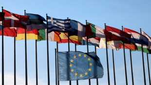 Europ&auml;ischer Gerichtshof st&auml;rkt Fl&uuml;chtlingsschutz f&uuml;r staatenlose Pal&auml;stinenser