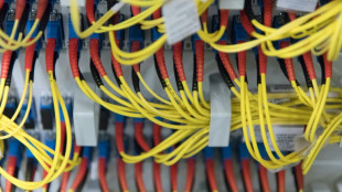 BSI-Lagebericht: Gef&auml;hrdungslage bei IT-Sicherheit so hoch wie nie