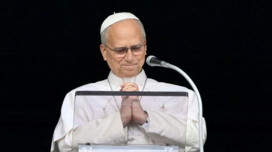  Papst Leo XIV. spricht nach Telefonat mit Putin auch mit Selenskyj  