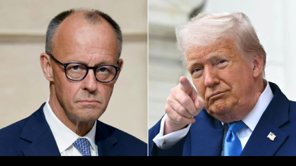 Germany's Merz heads for delicate talks with Trump