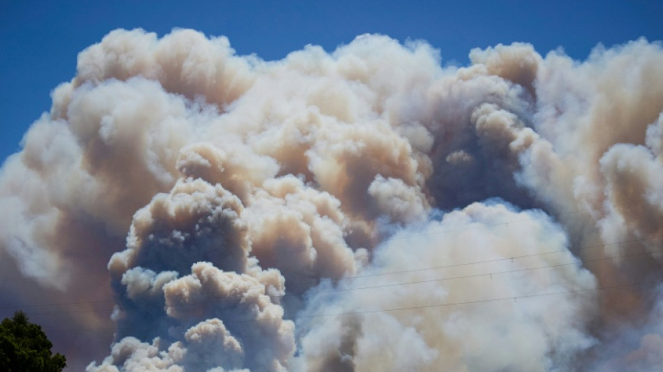  Al menos 11 fallecidos en un voraz incendio forestal en el sur de Espa&ntilde;a 