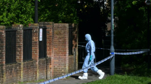 UK PM vows to find arsonists of London Jewish sites