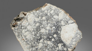 Pluie de m&eacute;t&eacute;orites aux ench&egrave;res, o&ugrave; la Lune se vend mieux que Mars