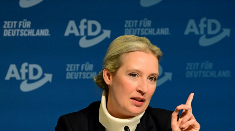 Kampf gegen den "Hippie-Staat": AfD-Vorstand k&uuml;rt Weidel zu Kanzlerkandidatin