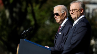 Biden, Australian PM hail stand against Hamas, Putin