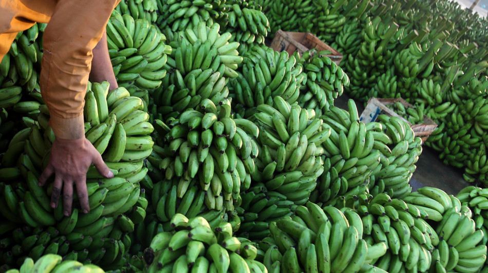 Del Monte getta la spugna e fa bancarotta, chiesto il Chapter 11