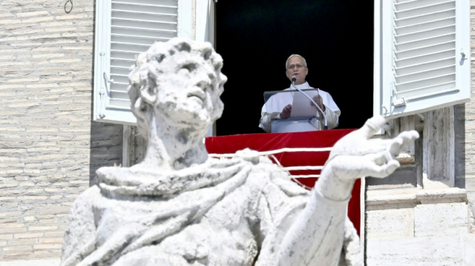 El papa pide la apertura de corredores humanitarios en Sud&aacute;n
 
