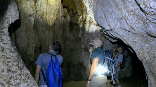 New species teem in Cambodia's threatened karst