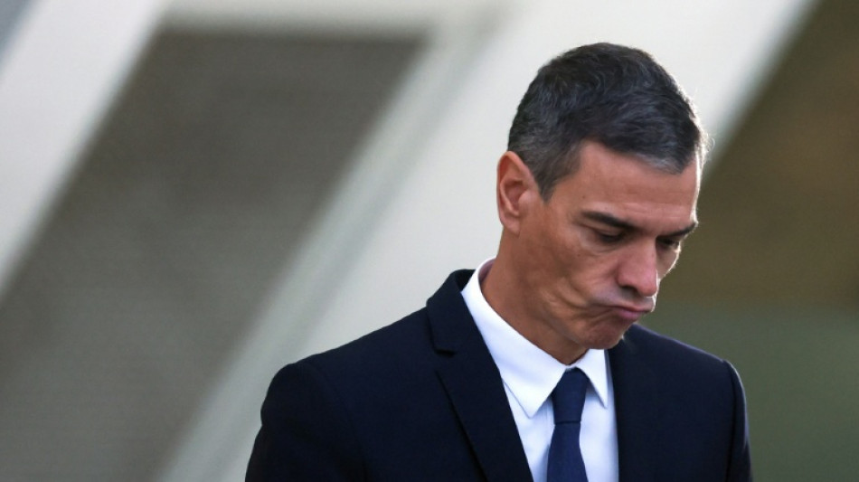  Pedro S&aacute;nchez, un superviviente de la pol&iacute;tica espa&ntilde;ola y estandarte de la izquierda europea 