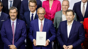 S&ouml;ders B&uuml;rgergeld-Vorsto&szlig; sorgt f&uuml;r Debatte in Koalition - SPD warnt Union