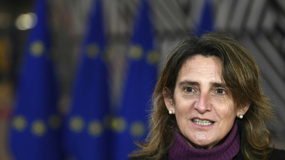 Madrid insiste en el gasoducto a Europa pese a la oposici&oacute;n de Macron