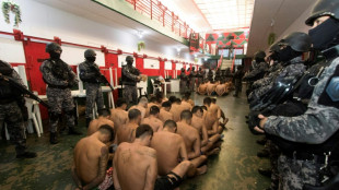 Argentina amplia flexibiliza&ccedil;&atilde;o do uso de armas a todas as for&ccedil;as federais