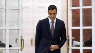 Sanchez, porterò a termine legislatura e mi ricandiderò nel '27