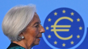 Rising euro, falling inflation in focus at ECB meeting