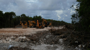 Juez suspende indefinidamente construcci&oacute;n de un tramo del "Tren Maya" en M&eacute;xico