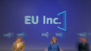 Fears new pan-European company status threatens workers' rights