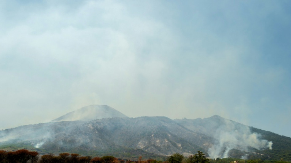 Waldbrand am Vesuv in Italien: Wanderwege vorerst f&uuml;r Touristen gesperrt