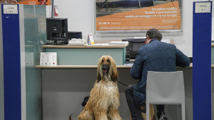 Scope Rating, per banche italiane forte redditivit&agrave; nel 2024