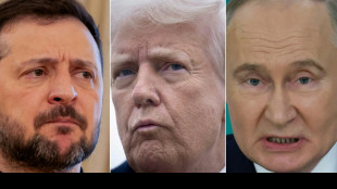 Zelensky accuses Russia of rejecting ceasefire as fresh strikes hit Ukraine