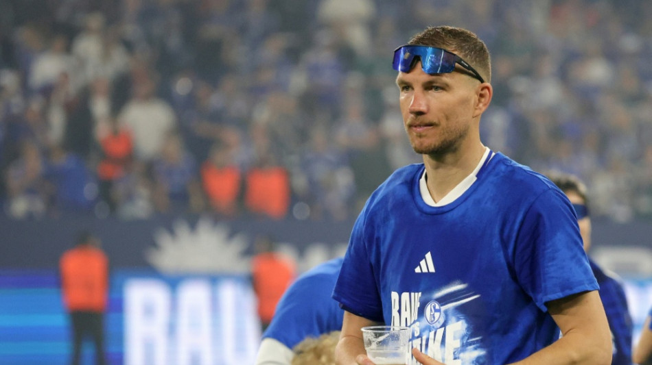  "Ich habe noch Hunger": Dzeko verl&auml;ngert auf Schalke 