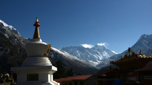 British climbers summit Everest in record bid