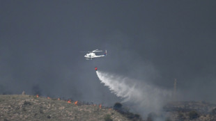 Eleven dead, 19 missing as Spain wildfire roars through southern Spain
