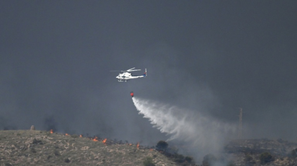  Eleven dead, 19 missing as wildfire roars through southern Spain 