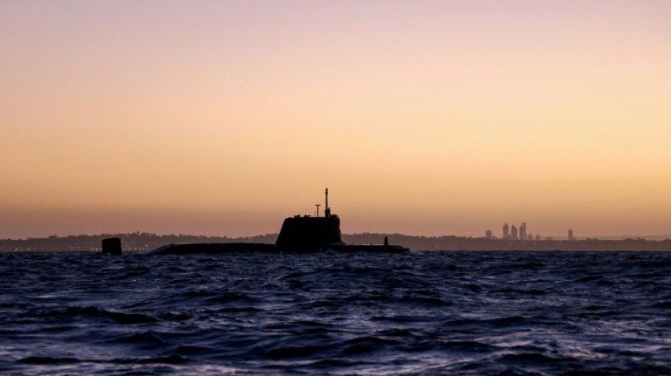  US submarine group to arrive in Australia this year: minister 