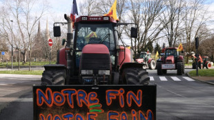 La UE present&oacute; su "visi&oacute;n" para la agricultura, con normas m&aacute;s estrictas a la importaci&oacute;n de alimentos