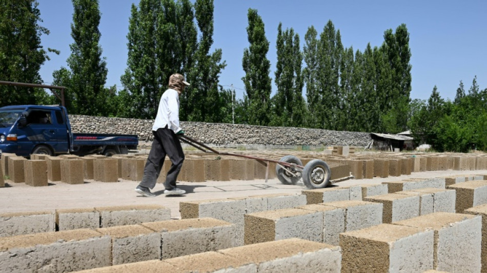 Quirguistão promove construção de casas de arroz como alternativa ecológica ao concreto