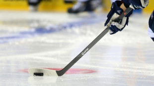 DEL: Meister Berlin gewinnt Spitzenspiel