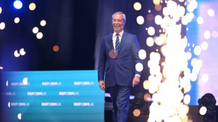Royaume-Uni : Nigel Farage rallie ses troupes et se voit d&eacute;j&agrave; en Premier ministre