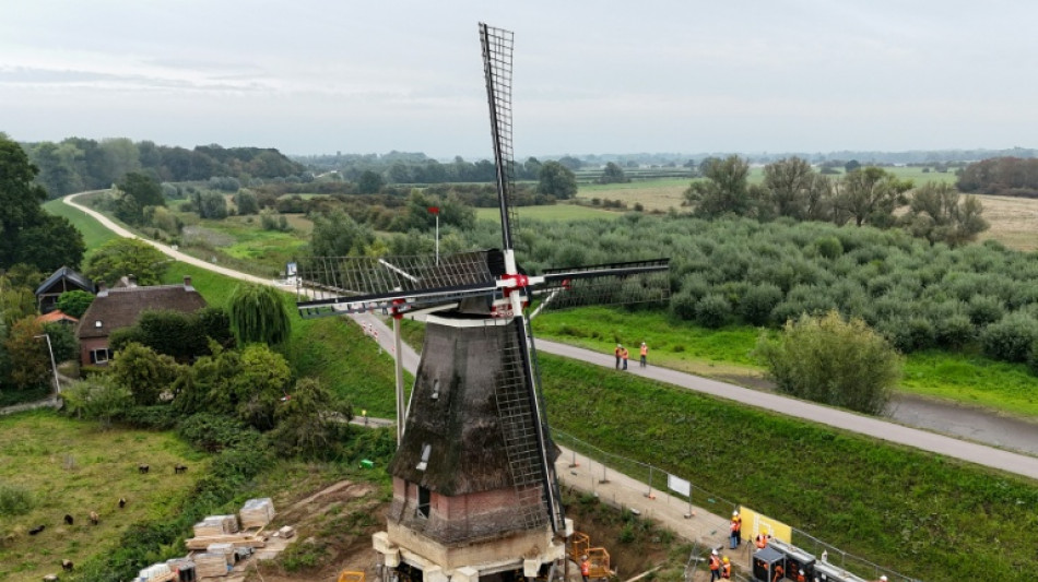  Aux Pays-Bas, un moulin sur&eacute;lev&eacute; pour lui "rendre son vent" 