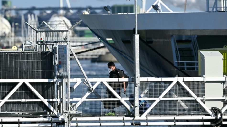  Argentina halla hantavirus en Tierra del Fuego sin nexo con el brote del crucero "Hondius" 