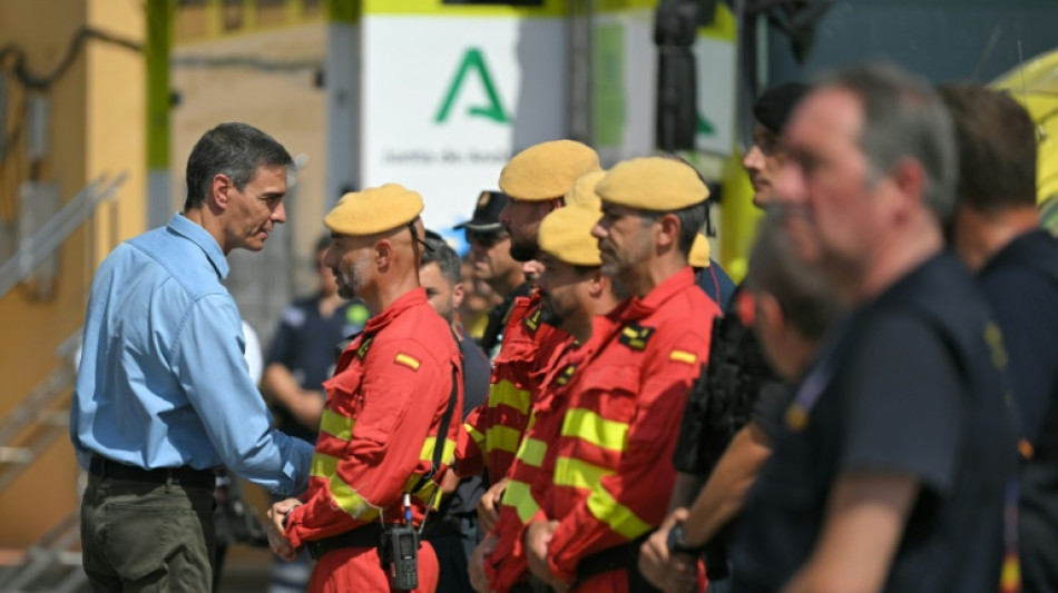 Spanischer Regierungschef S&aacute;nchez besucht Waldbrandgebiet in Andalusien 